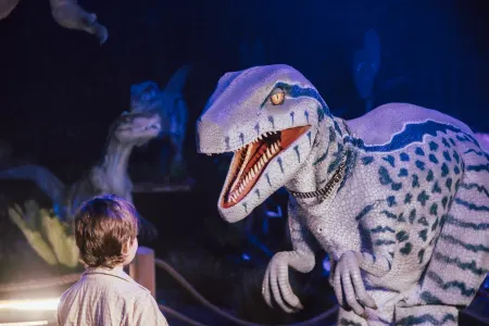 Jurassic Journey