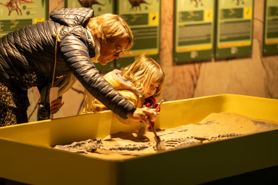 Fun for all ages