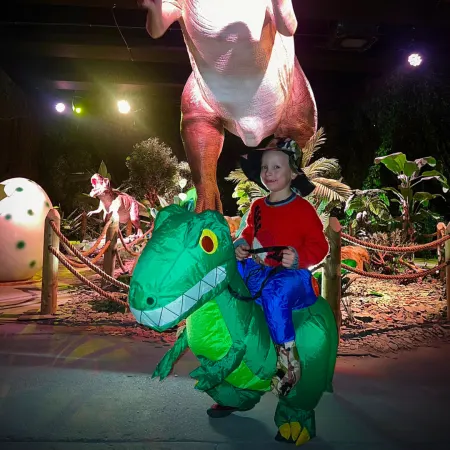 Dino Costume