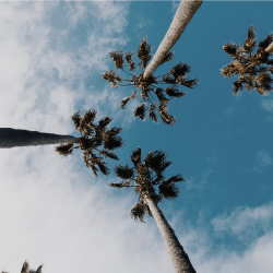 San Diego - San Diego