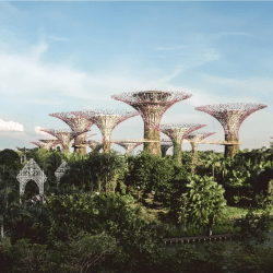 Singapore - Singapore