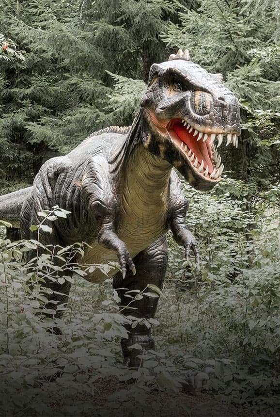 Gorgosaurio - Dinos Alive Exhibit Houston - Immersive Experience