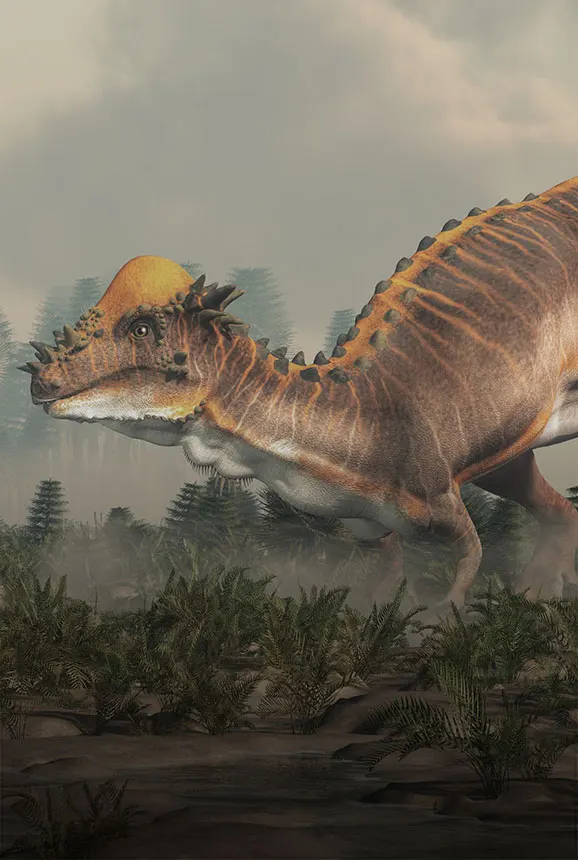 Pachycephalosaurus - Dinos Alive Exhibit Melbourne: An Immersive Experience