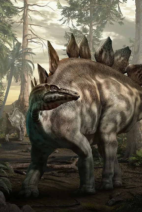 Estegosaurio - Dinos Alive Exhibit Houston - Immersive Experience