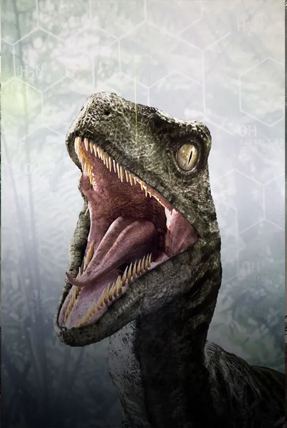 Vélociraptor